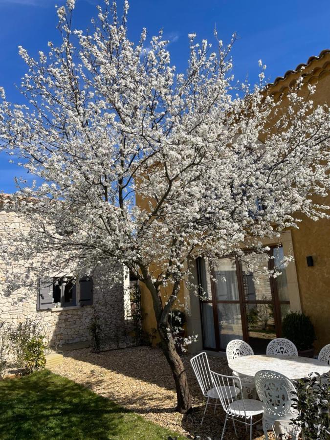 Domaine D'Egenia Βίλα Roussillon en Isere Εξωτερικό φωτογραφία