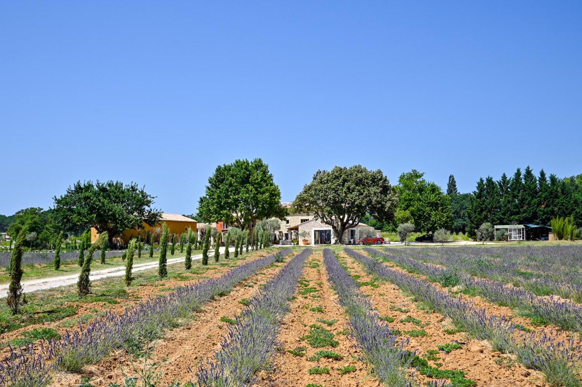 Domaine D'Egenia Βίλα Roussillon en Isere Εξωτερικό φωτογραφία