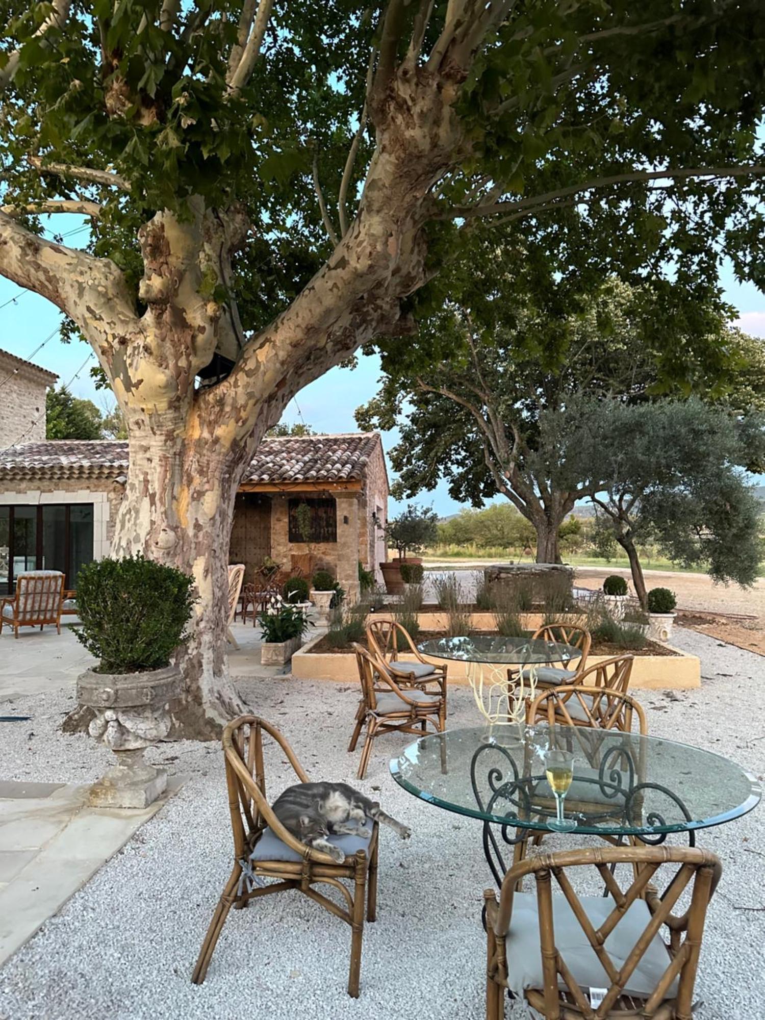 Domaine D'Egenia Βίλα Roussillon en Isere Εξωτερικό φωτογραφία